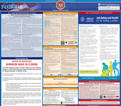 Florida Minimum Wage Chart